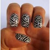 Adesivos /unhas